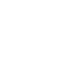 parent icon